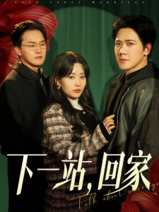 短剧下一站，回家海报