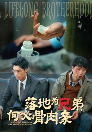 短剧落地为兄弟，何必骨肉亲海报