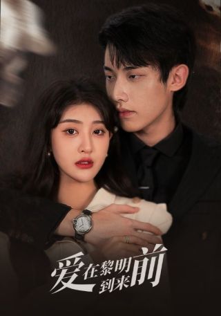 短剧爱在黎明到来前海报