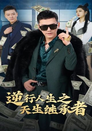 短剧逆行人生之天生继承者海报