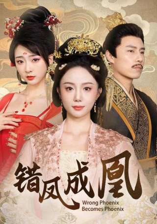 短剧错凤成凰海报