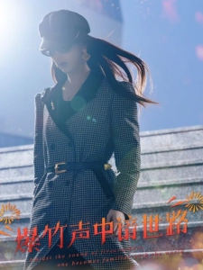 短剧爆竹声中谙世路海报