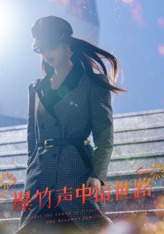 短剧爆竹声中谙世路海报