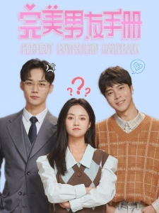 短剧完美男友手册海报