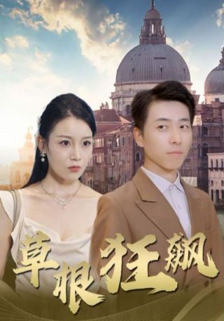 短剧草根狂飙海报