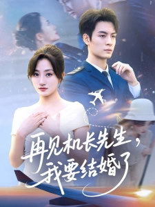 短剧再见机长先生，我要结婚了海报
