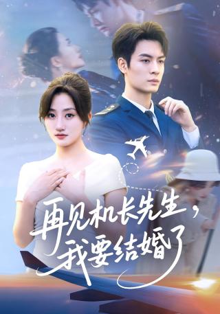 短剧再见机长先生，我要结婚了海报
