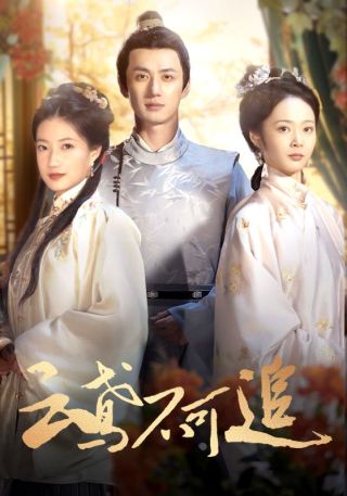 短剧云鸢不可追海报