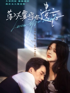 短剧落入大雾将你遗忘海报