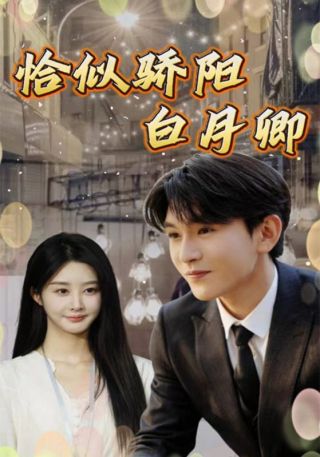 短剧恰似骄阳白月卿海报