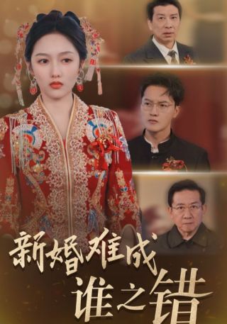 短剧新婚难成谁之错海报