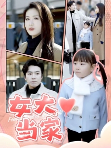 短剧女大当家海报