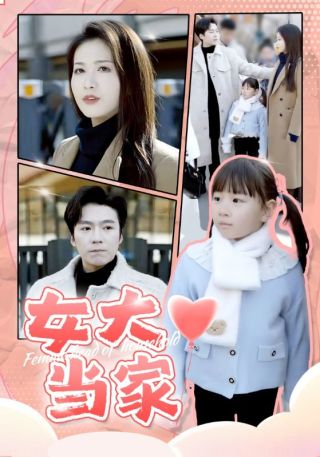 短剧女大当家海报