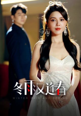 短剧冬雨又逢春海报