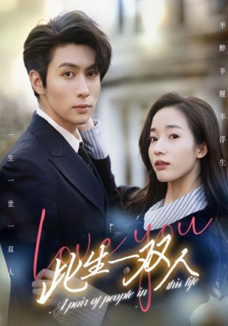 短剧此生一双人海报