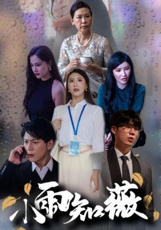 短剧小雨知薇海报