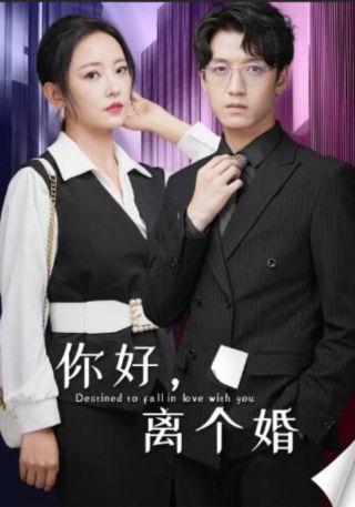 短剧你好，离个婚海报