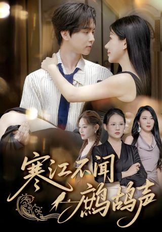 短剧寒江不闻鹧鸪声海报