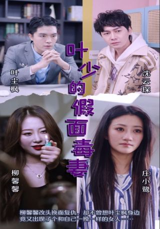 短剧叶少的假面毒妻海报
