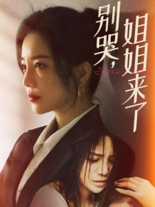 短剧别哭，姐姐来了海报
