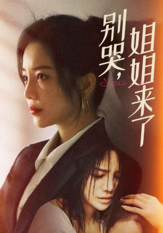 短剧别哭，姐姐来了海报