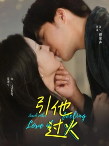 短剧引他过火海报