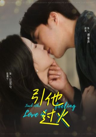 短剧引他过火海报