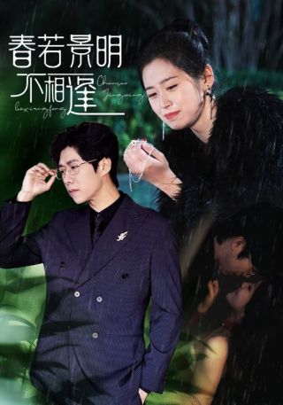短剧春若景明不相逢海报
