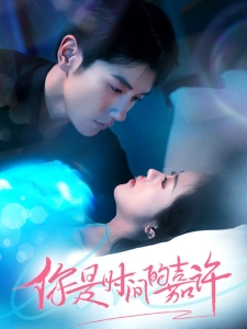 短剧你是时间的嘉许海报