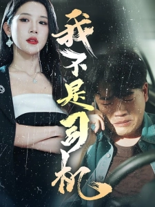 短剧我不是司机海报