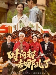 短剧时间都去哪儿了海报