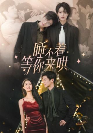 短剧睡不着等你来哄海报