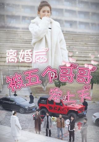 短剧离婚后被五个哥哥宠上天海报