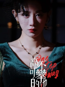 短剧高不可攀的她海报