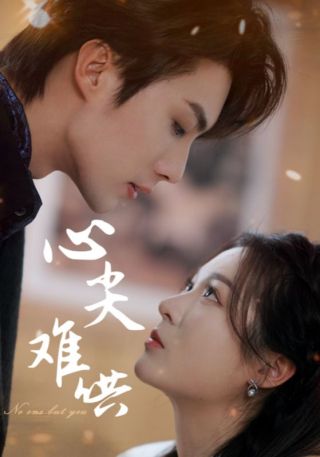 短剧心尖难哄海报
