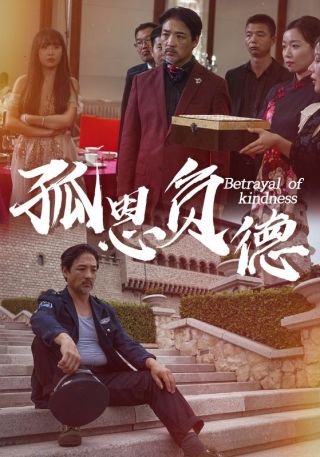 短剧孤恩负德海报