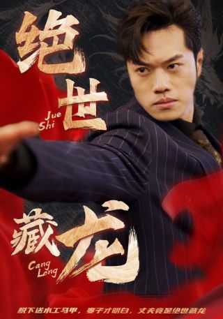 短剧绝世藏龙海报