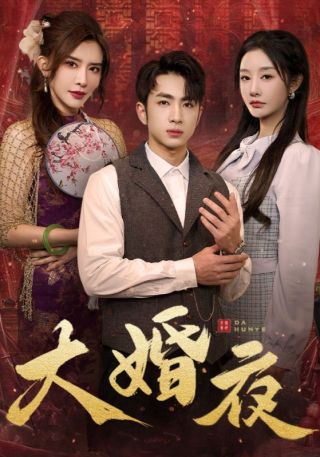 短剧大婚夜海报