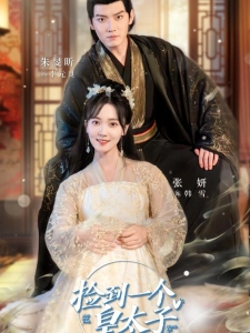 短剧捡到一个皇太子海报