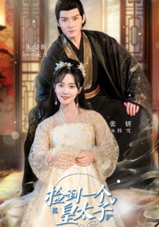 短剧捡到一个皇太子海报