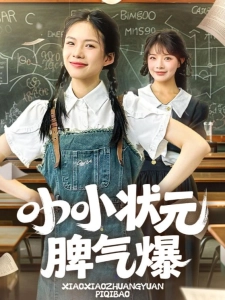 短剧小小状元脾气爆海报