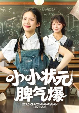 短剧小小状元脾气爆海报