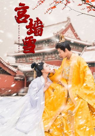 短剧宫墙雪海报