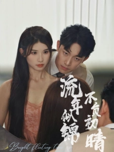 短剧流年似锦不负初晴海报