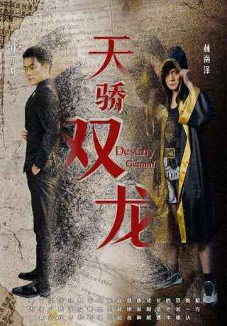 短剧天骄双龙海报