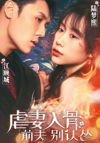 短剧虐妻入骨：前夫别认怂海报