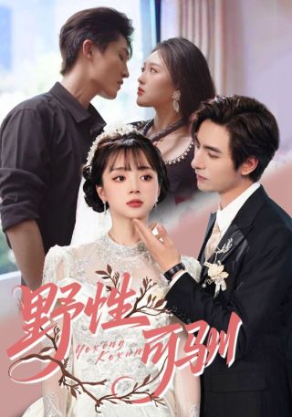 短剧野性可驯海报