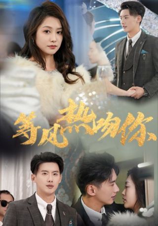 短剧等风热吻你海报