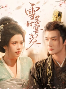 短剧雪落时宴深海报