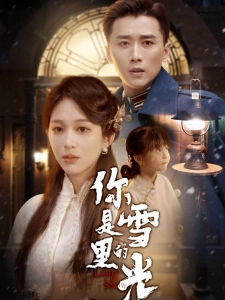 短剧你是雪里的光海报
